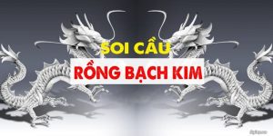 Soi cầu rồng bạch kim